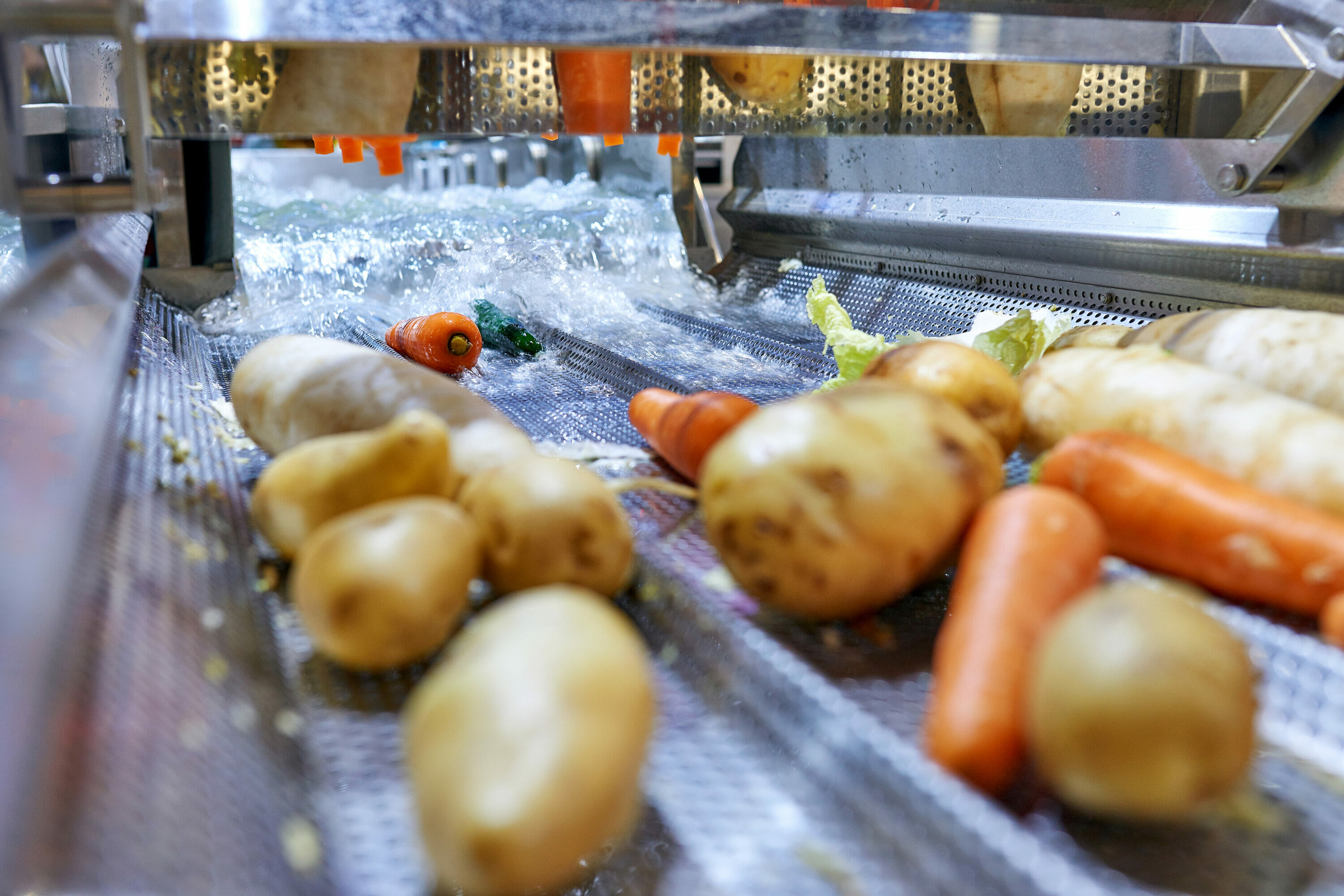 Vegetables being washed on an automatic production line